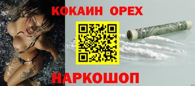 СК Кандалакша