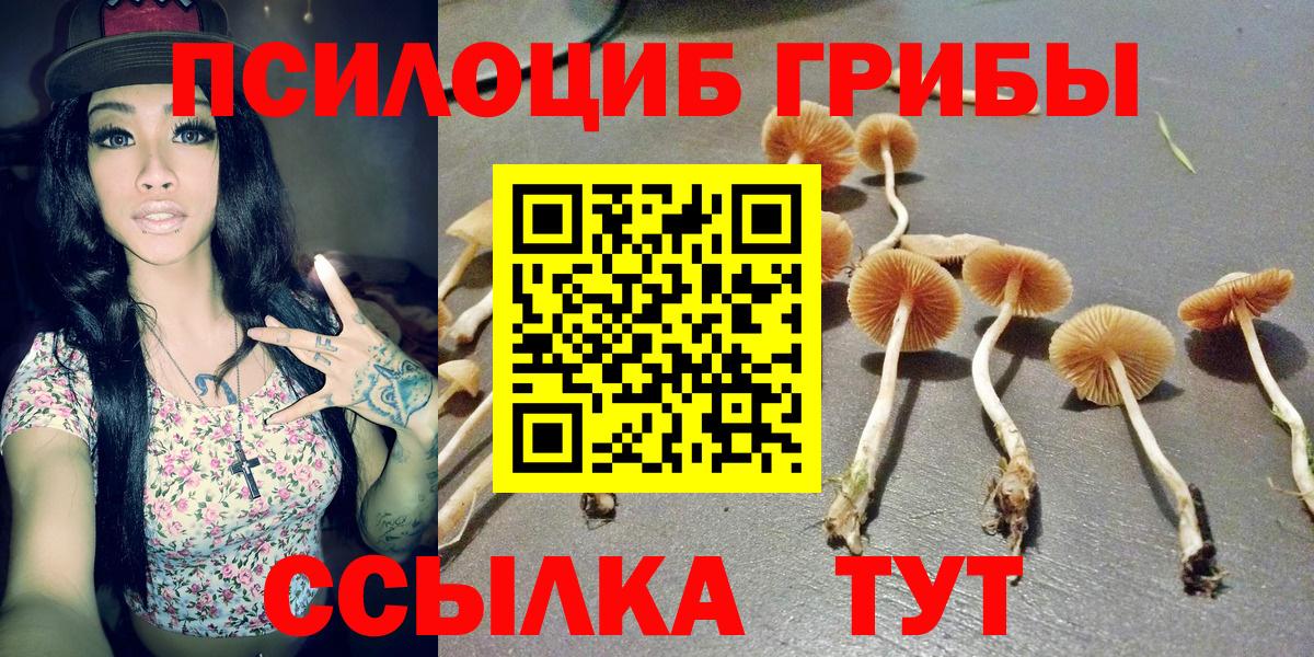 Псилоцибиновые грибы мухоморы  Вход с VPN  Биробиджан 